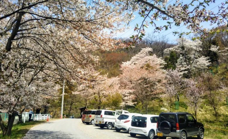 卍 명석사 (메이세키지) 이미지 9